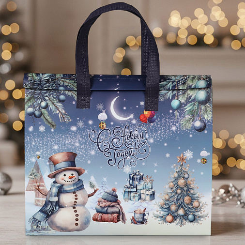 Новогодний набор: конфеты глазированные, сухофрукты, печенье 555г в термопакете