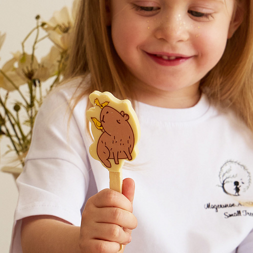 "Капибара и птички" белый шоколад на палочке