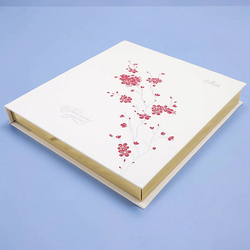 Подарочный набор с конфетами: мармелад, конфеты ассорти (мега-книга белая)