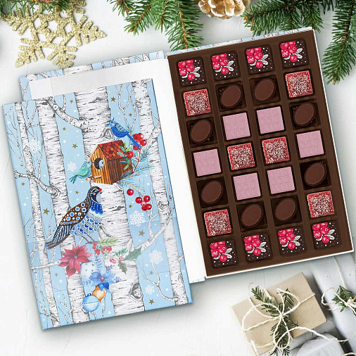 «Птицы» книга с конфетами ассорти и мармеладом 270г