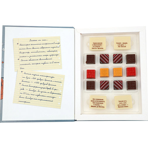 "Дневник" набор шоколада и конфет
