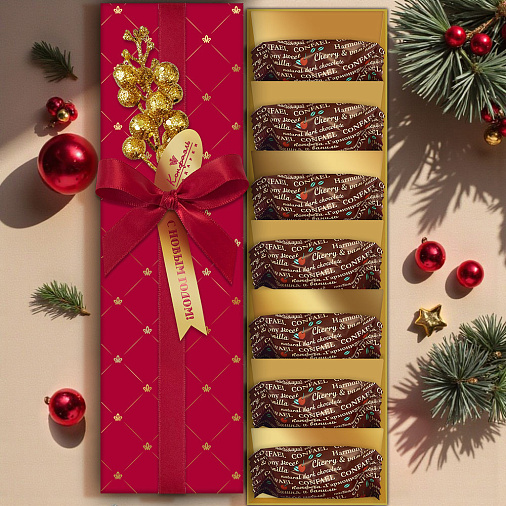 Новогодний набор: конфеты шоколадные, печенье,мед, чай 670г в термопакете