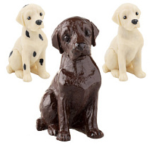 Шоколадные собаки в ассортименте